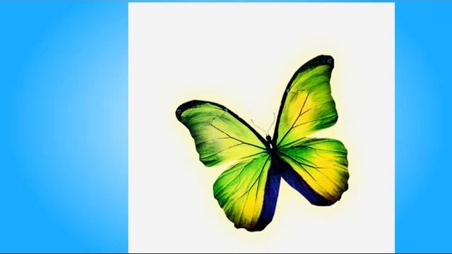 ИЗУЧАЕМ ВИДЫ БАБОЧЕК! Серия 6. Кошка Рыжуля. Мультик для малышей УЧИМ БАБОЧЕК смотреть онлайн