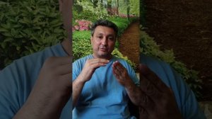 Перелом бедренной кости.