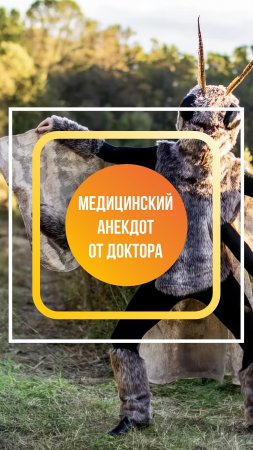 Профессиональный анекдот от Доктора Первушкина