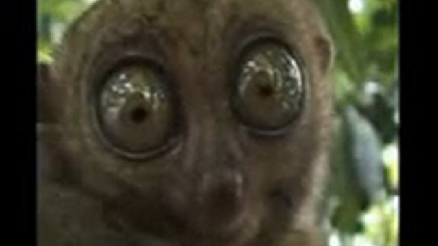 Когда Зарплаты не будет ! смотреть онлайн