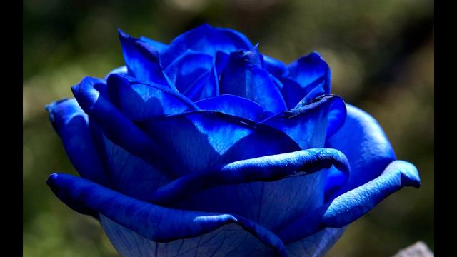 ПРАКТИКИ!!! УРАВНОВЕШИВАНИЕ ВИБРАЦИЙ. Жизнь на Новой Земле 2021 Отец Абсолют, приняла Марта смотреть онлайн