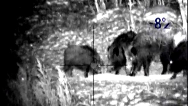 Калибр - 223, стрелял в ухо. 16.12.16г. смотреть онлайн