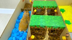 Hamster in a BIG MINECRAFT WORLD 4-LEVEL Maze