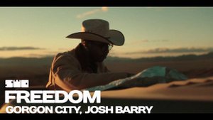 Freedom | Hurt | rework: PROfan