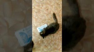 диклофенак Diclofenac