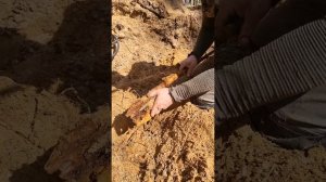 Нашли винтовку в песке