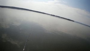 Рыбалка на волге! На Чебоксарском водохранилище! Моя любимая обловила меня!!!