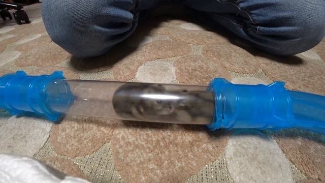 ПОСТРОИЛИ ЛАБИРИНТ ДЛЯ ХОМЯКОВ