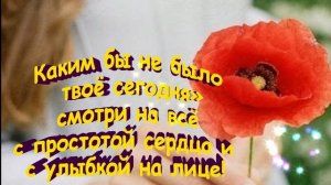 Утро Доброе 🌹