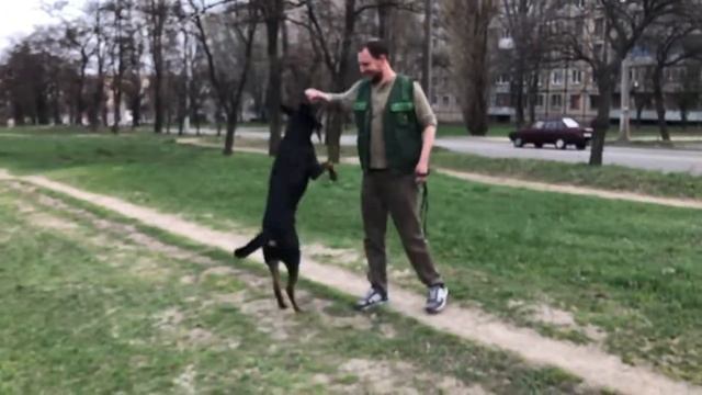 КАК ПОЛУЧИТЬ ПАЛКУ(удар по яйкам)) смотреть онлайн