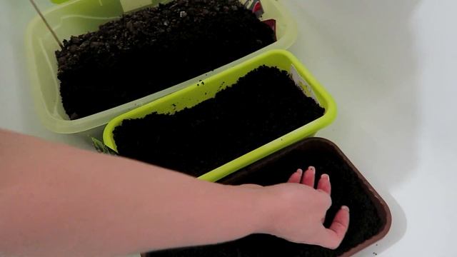 VLOG: СОСИСКИ в слоёном тесте / Наш БАЛКОН / ОГОРОД на ОКНЕ/ВЛОГ ДОМОХОЗЯЙКИ/СЕМЕЙНЫЙ КАНАЛ/LifeVlo смотреть онлайн