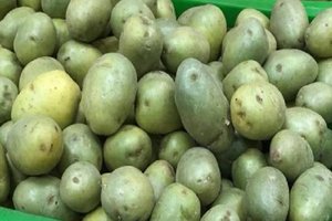 Опасный картофель.mp4