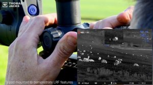 The best field test of the Pulsar Thermion 2 LRF XP50 Pro