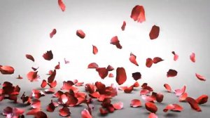 футаж Лепестки роз падающие