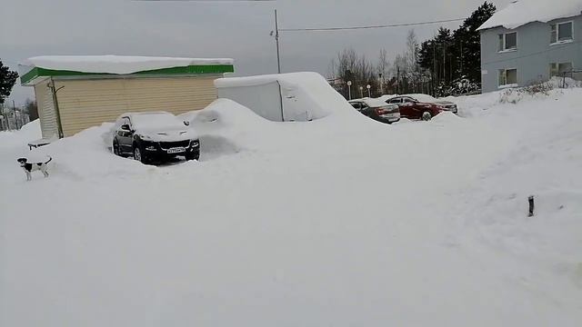 Долгожданный переезд С севера в деревню