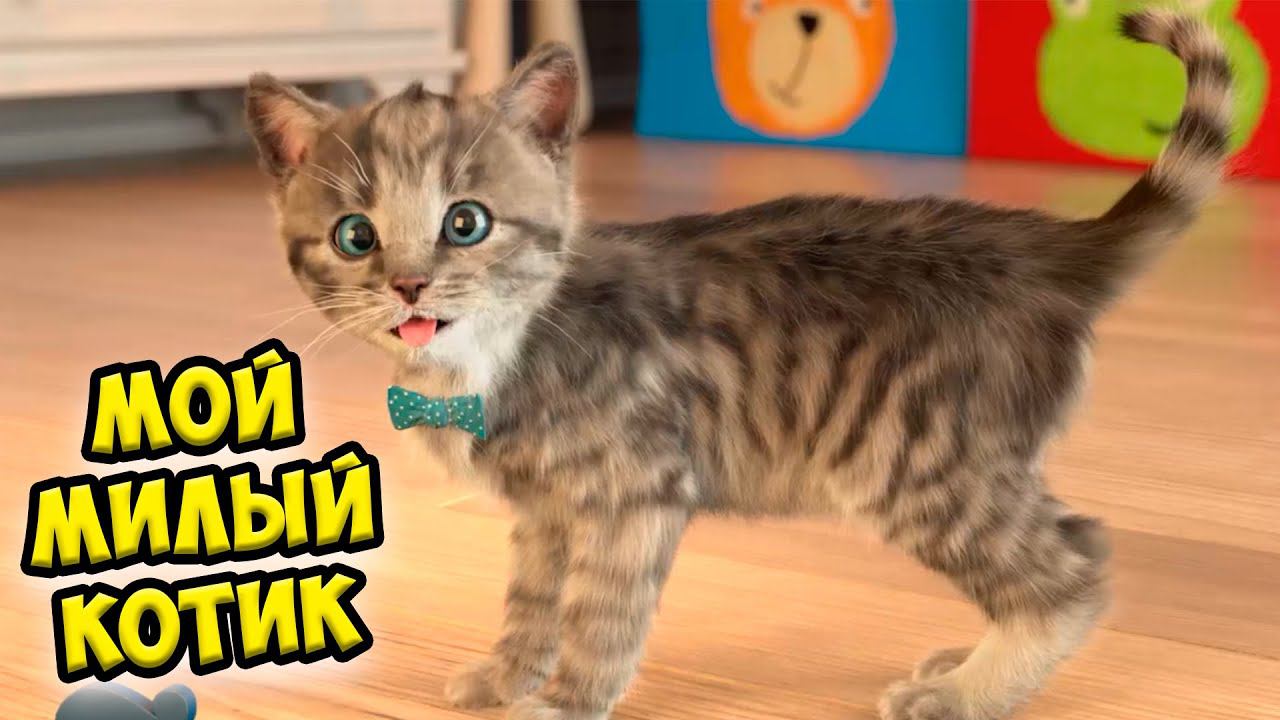 Мой милый котенок Игра про котика Ухаживаю за питомцем