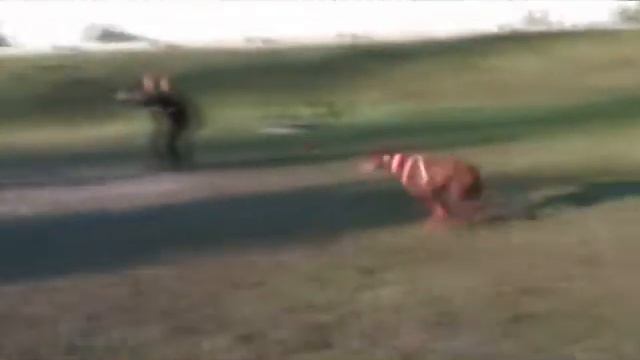 УДЦ Гелион - Golden Boy Iz Zamka Princessy / Sep-2012 смотреть онлайн