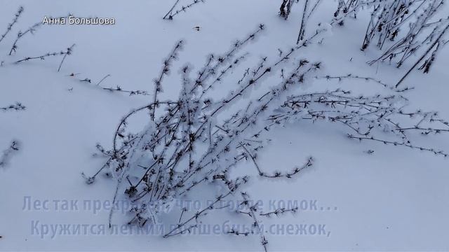 Зимнее утро. Красивый зимний лес. Прогулка по зимнему лесу. Сказочная зима.Зимняя природа