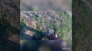 Сколько и как работают китайские распылители.