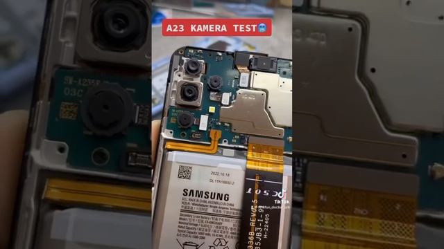 Samsung Galaxy A23 сколько камер?