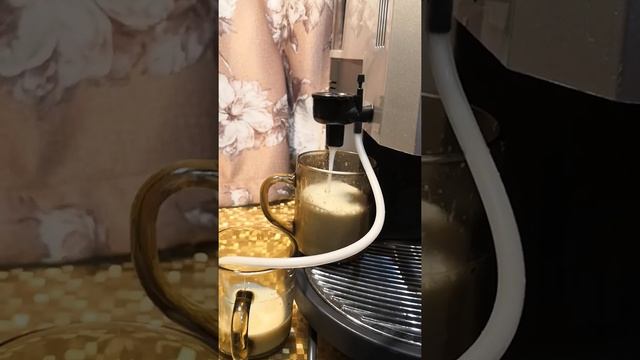 Приготовление капучино на Saeco Royal Cappuccino