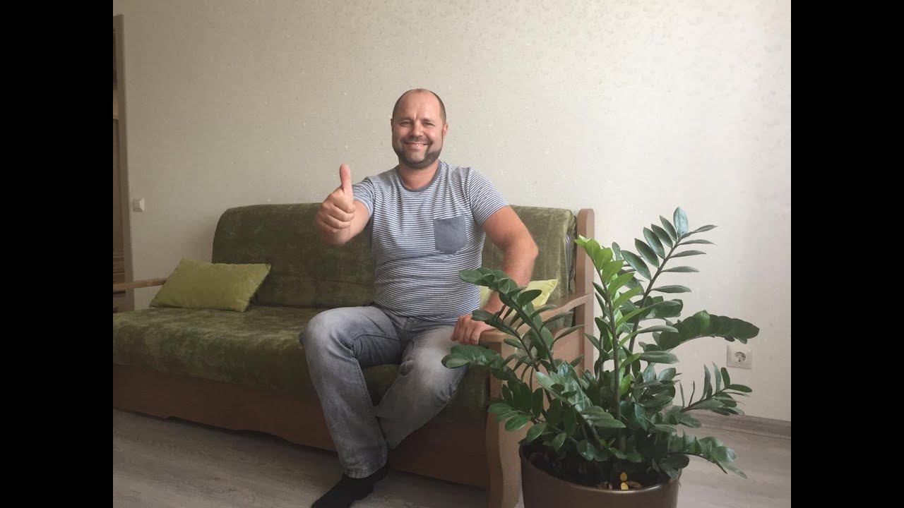 Купить квартиру 40м2 с ремонтом в Краснодаре! Фестивальный микрорайон.