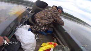 Рыбалка на КОЛЬЦО. ТАНЦУЮЩАЯ ЧЕХОНЬ. Астраханская рыбалка 2020) Часть 8