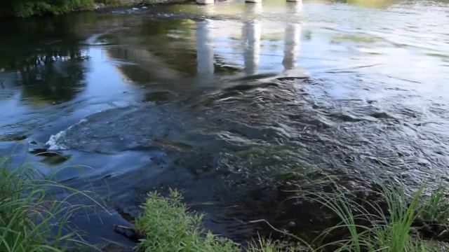 Река Илеть. смотреть онлайн