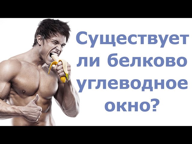 Существует ли белково-углеводное окно?