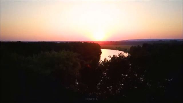 Пение птиц в лесу! Дуэт соловья с Кукушкой в 4к*  Singing birds in the forest!!!