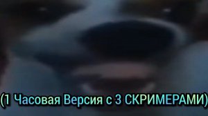 Собака смеётся ► 1 Часовая Версия (3 СКРИМЕРА)