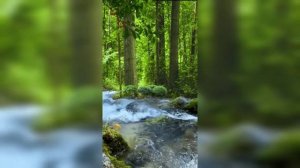 ПРОИСХОЖДЕНИЕ САМОЙ ЗАГАДОЧНОЙ КНИГИ В МИРЕ О БОГЕ,СОТВОРЕНИИ МИРА, ПОТОПЕ И ИНЫ