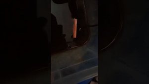 Индикатор напряженности поля своими руками)