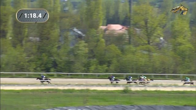 Скачки. Пятигорск. Вступительный приз (Гр.3).Ахалтекинская порода. 02.05.2021 смотреть онлайн