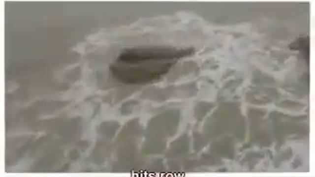 Два парня засняли реальную русалку смотреть онлайн