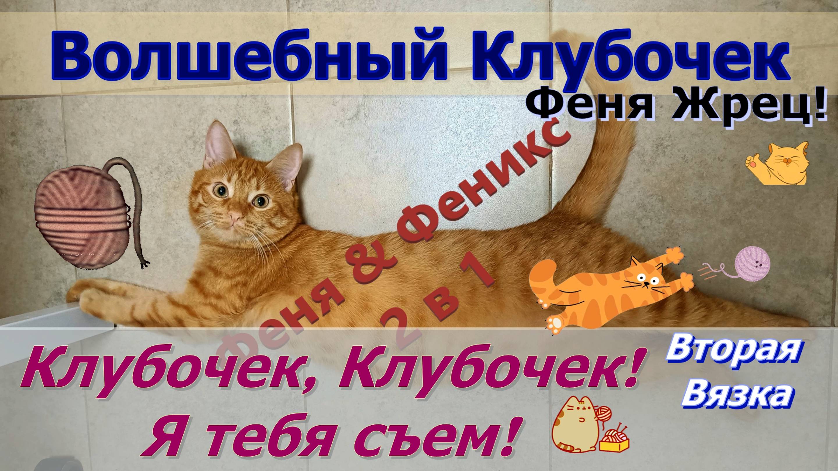 Клубочек, Клубочек! Я тебя съем! Вторая Вязка. Кот Феня, он же Феникс