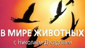 В мире животных с Николаем Дроздовым 2005 г Выпуск - 9