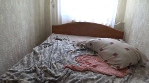 СТАНИЧНАЯ ЖИЗНЬ? ДАЛИ ИМЕНА КОТЯТАМ?  ОДНА В ИЗОЛЯТОРЕ?