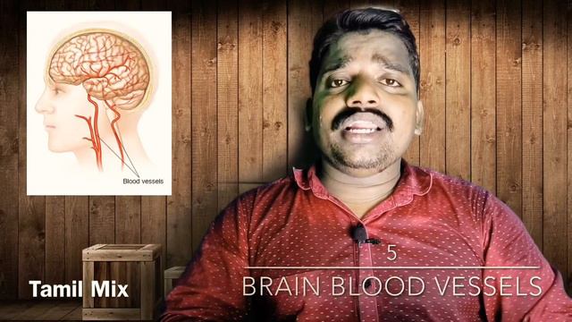 Facts about Human Brain Top 10 Tamil mix Murugavel