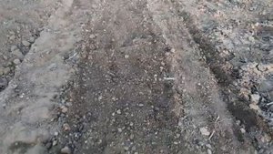 Вскопала огород.Как подготовить грядки под картошку.