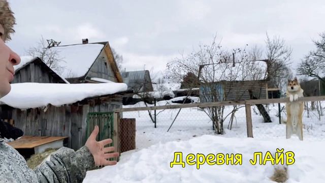 Почему жизнь в деревне лучше чем в городе. смотреть онлайн