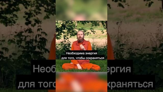 Чтобы просто остаться на месте, тебе нужно бежать со всех ног