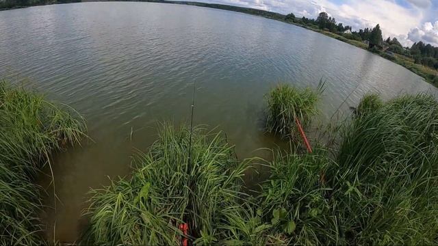 На рыбалку к ЖШ в Киржач, Бабуринское озеро (рыбхоз у Власьево)