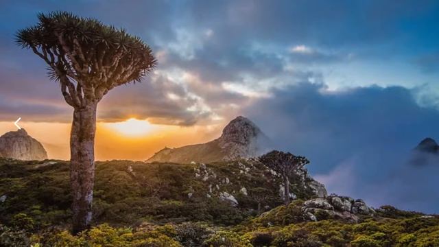 Как попросить силу у своего Рода? смотреть онлайн