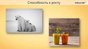 Зоология — наука о животных Биология 7 класс #1 Инфоурок