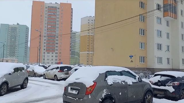 Питер Жизнь за КАД #питер #недвижимостьспб #спб #санктпетербург#еленажемчугова смотреть онлайн