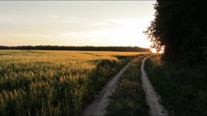 Ратников Владимир - "Родина моя"