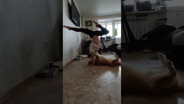 Поддержка-Важно