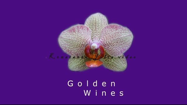 Фаленопсисы желто-оранжевые. Часть 2 смотреть онлайн