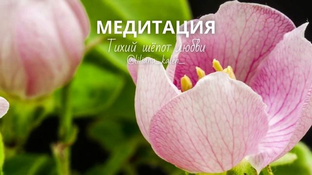 Я ПОМОГУ ТЕБЕ УСНУТЬ.ПОПРОБУЙ МОЮ МЕДИТАЦИЮ. ПОЛНАЯ ВЕРСИЯ НА КАНАЛЕ смотреть онлайн